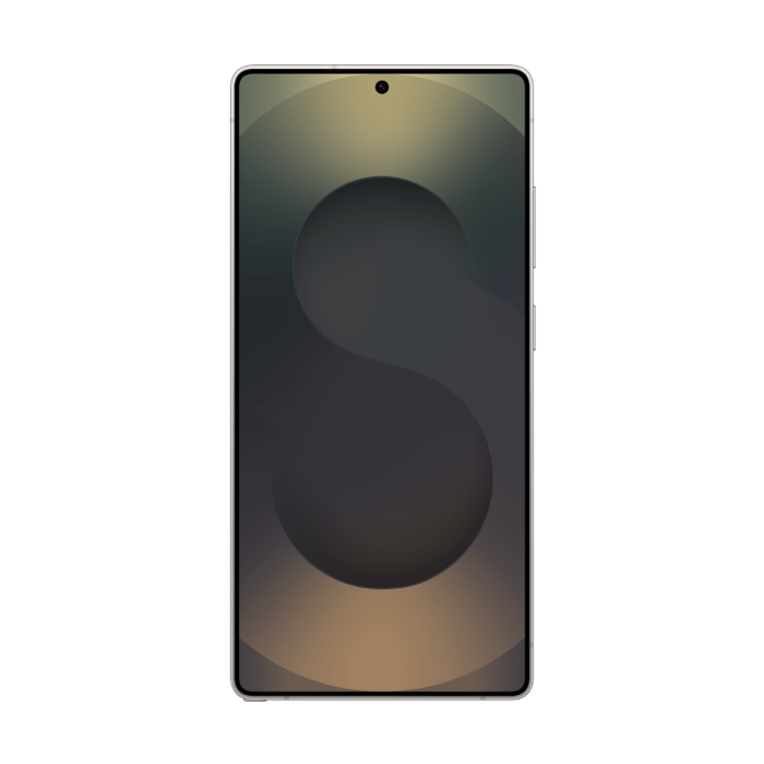 Samsung Galaxy S25 Ultra 5G 12 Go/256 Go Titane Noir (Titanium Black) Dual SIM SM-S938B